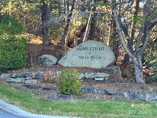 1114 Mills River Way, Horse Shoe, NC 28742