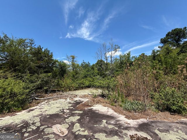 14.21 ACRES NW Irwin Bridge Road, Conyers, GA 30012
