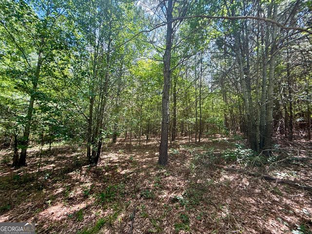 14.21 ACRES NW Irwin Bridge Road, Conyers, GA 30012