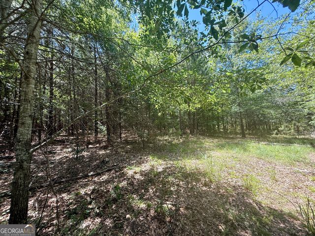 14.21 ACRES NW Irwin Bridge Road, Conyers, GA 30012