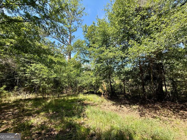 14.21 ACRES NW Irwin Bridge Road, Conyers, GA 30012