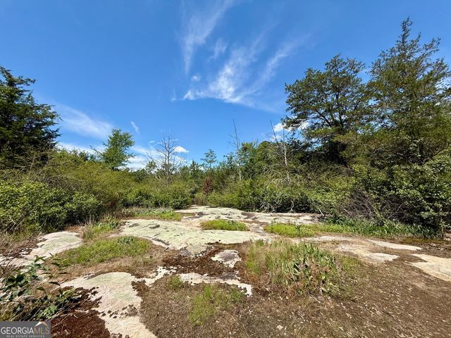 14.21 ACRES NW Irwin Bridge Road, Conyers, GA 30012