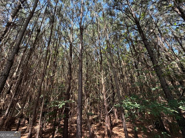 14.21 ACRES NW Irwin Bridge Road, Conyers, GA 30012