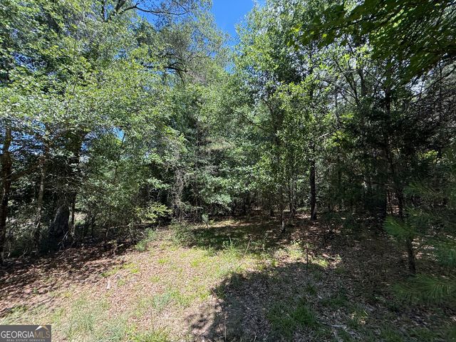 14.21 ACRES NW Irwin Bridge Road, Conyers, GA 30012