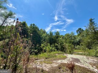 14.21 ACRES NW Irwin Bridge Road, Conyers, GA 30012