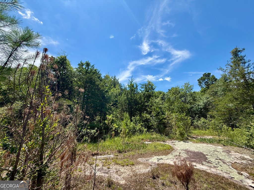 14.21 ACRES NW Irwin Bridge Road, Conyers, GA 30012