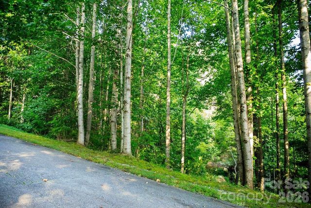 000 Ivywood Lane 13, Laurel Park, NC 28739