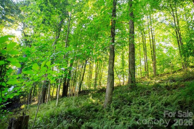000 Ivywood Lane 13, Laurel Park, NC 28739