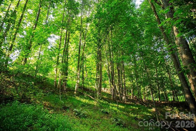 000 Ivywood Lane 13, Laurel Park, NC 28739
