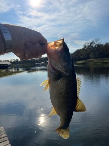 5327 Dusty Road, Athens, TX 75752