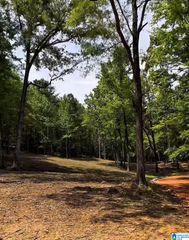 377 MAGNOLIA LANE, Vandiver, AL 35176