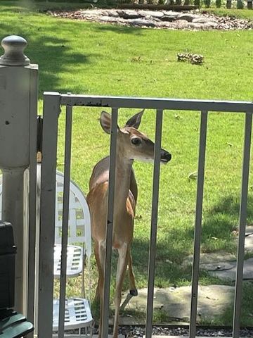 19018 Veterans Road, Magnolia, TX 77355