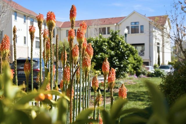 136 Lottie Lane, Campbell, CA 95008