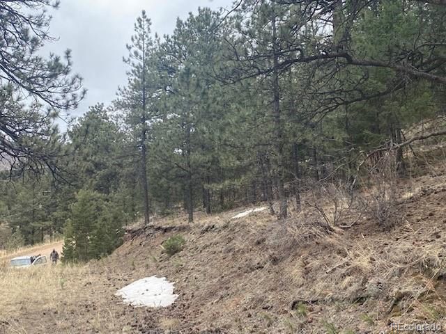 364 County Road 64, Shawnee, CO 80475