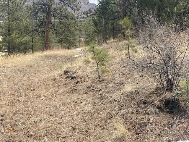 364 County Road 64, Shawnee, CO 80475