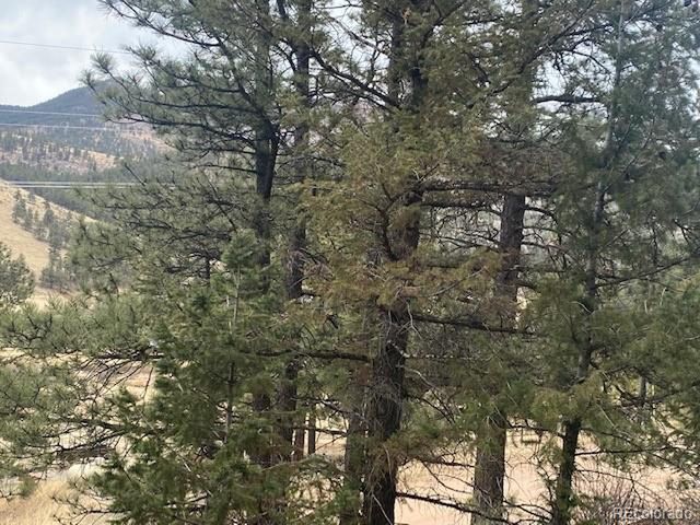 364 County Road 64, Shawnee, CO 80475