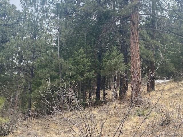 364 County Road 64, Shawnee, CO 80475