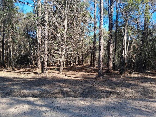 0 Dolphin Drive, Theodore, AL 36582