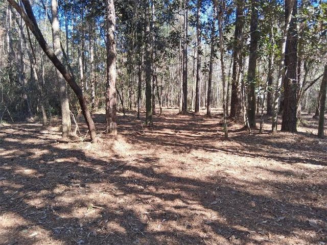 0 Dolphin Drive, Theodore, AL 36582