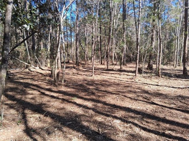 0 Dolphin Drive, Theodore, AL 36582