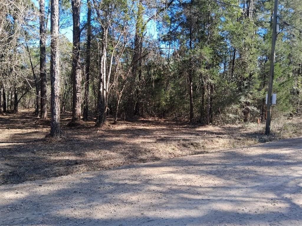0 Dolphin Drive, Theodore, AL 36582 — photo 3