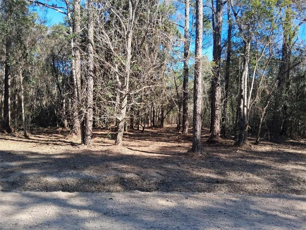 0 Dolphin Drive, Theodore, AL 36582 — photo 4