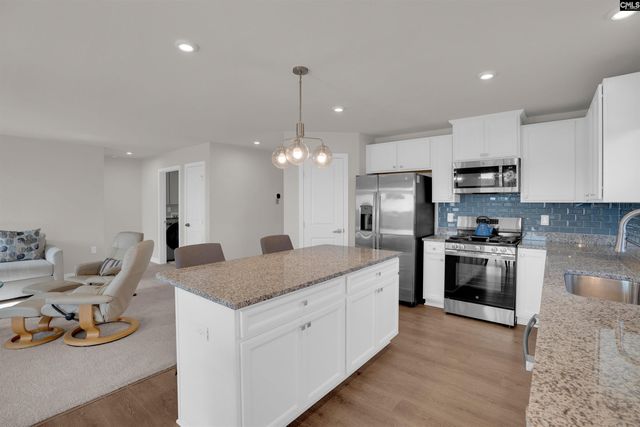 385 Switch Grass Court, Elgin, SC 29045