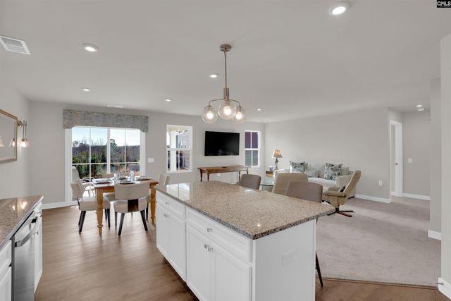 385 Switch Grass Court, Elgin, SC 29045