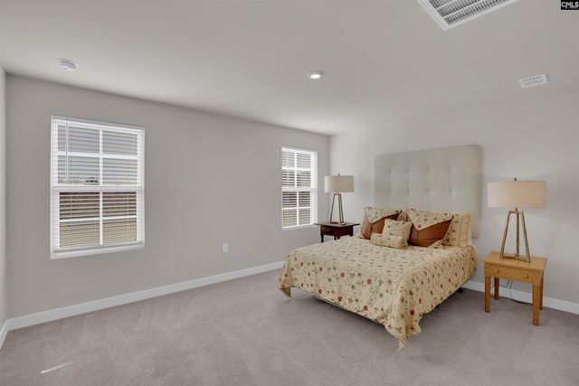 385 Switch Grass Court, Elgin, SC 29045