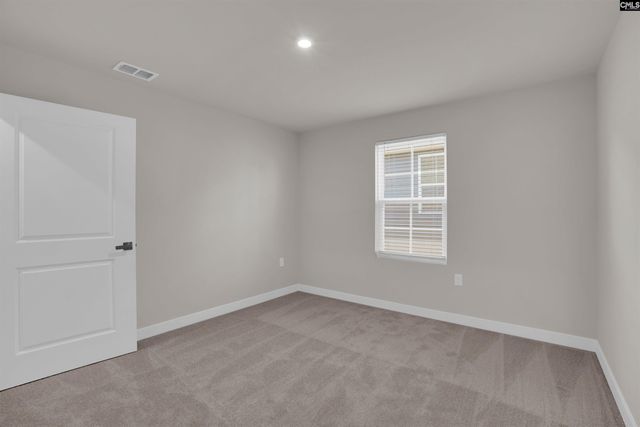 385 Switch Grass Court, Elgin, SC 29045