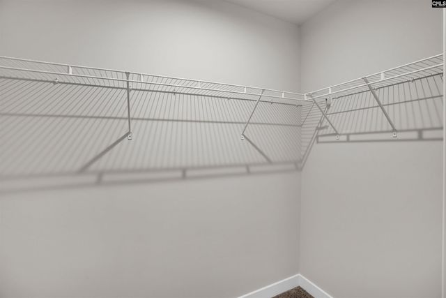 385 Switch Grass Court, Elgin, SC 29045