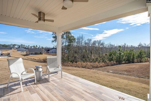 385 Switch Grass Court, Elgin, SC 29045