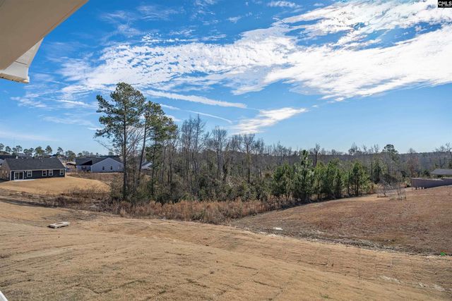 385 Switch Grass Court, Elgin, SC 29045