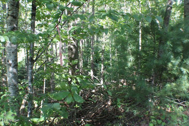 Tbd Deer Creek Xing, Mountain City, TN 37683