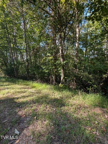 Tbd Deer Creek Xing, Mountain City, TN 37683