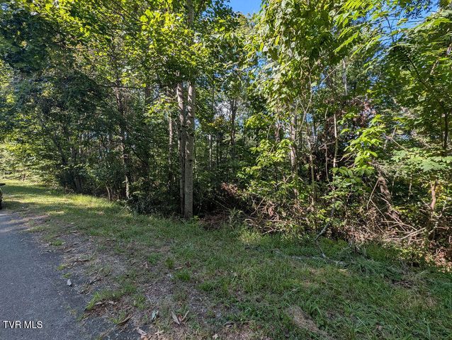 Tbd Deer Creek Xing, Mountain City, TN 37683