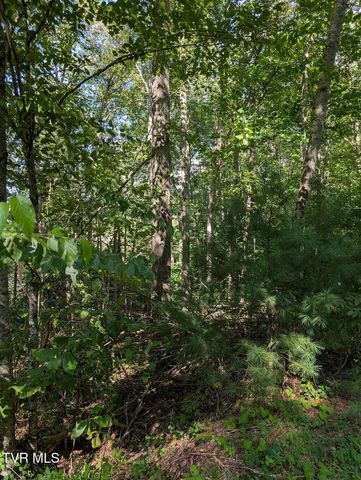 Tbd Deer Creek Xing, Mountain City, TN 37683