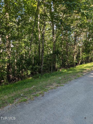 Tbd Deer Creek Xing, Mountain City, TN 37683