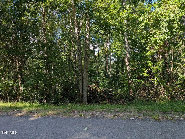 Tbd Deer Creek Xing, Mountain City, TN 37683