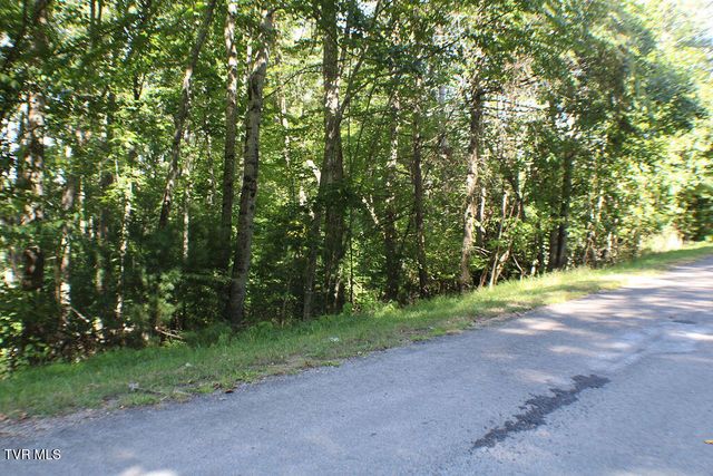 Tbd Deer Creek Xing, Mountain City, TN 37683