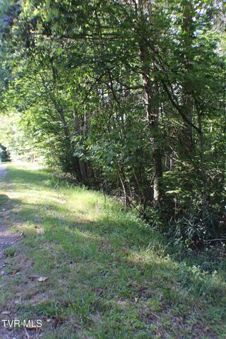 Tbd Deer Creek Xing, Mountain City, TN 37683