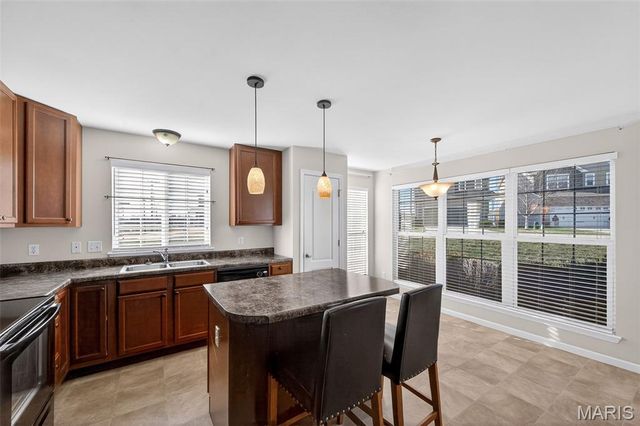 110 Lily Pad Lane, St Peters, MO 63376