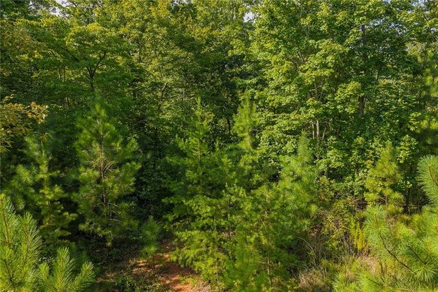 0 Harris Creek Drive, Ellijay, GA 30540