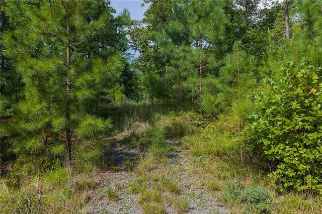 0 Harris Creek Drive, Ellijay, GA 30540
