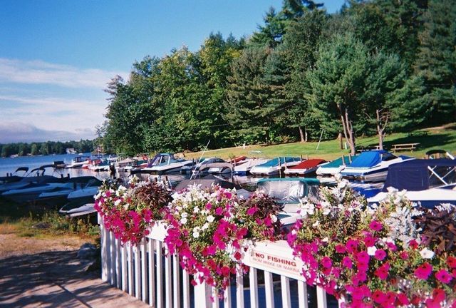 31 Fribourg Street, Moultonborough, NH 03254