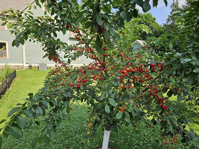 913 W 5TH STREET, Appleton, WI 54914