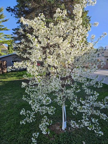 913 W 5TH STREET, Appleton, WI 54914