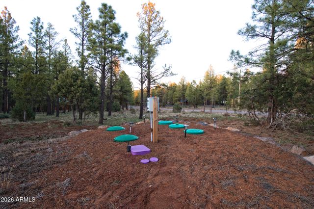 9244 MISTY MOUNTAIN Lane, Lakeside, AZ 85929