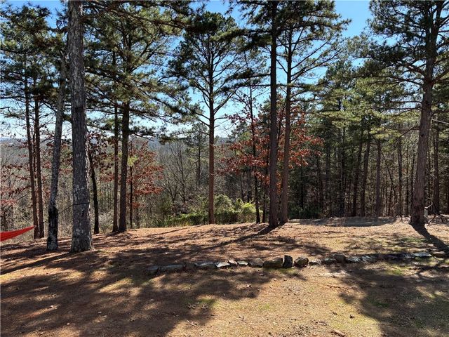 12561 SR 124, Russellville, AR 72802