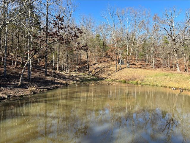 12561 SR 124, Russellville, AR 72802